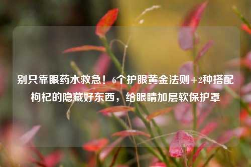 别只靠眼药水救急！6个护眼黄金法则+2种搭配枸杞的隐藏好东西，给眼睛加层软保护罩