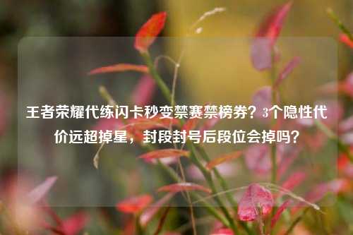 王者荣耀代练闪卡秒变禁赛禁榜券?3个隐性代价远超掉星,封段封号后段位会掉吗?