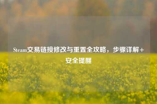 Steam交易链接修改与重置全攻略,步骤详解+安全提醒