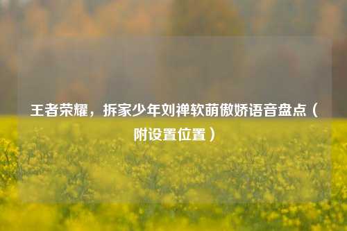 王者荣耀，拆家少年刘禅软萌傲娇语音盘点（附设置位置）