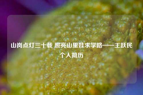 山岗点灯三十载 照亮山里娃求学路——王跃民个人简历