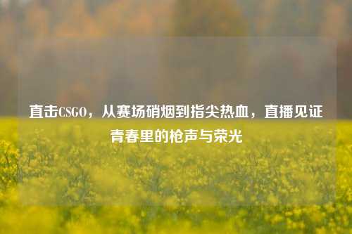 直击CSGO，从赛场硝烟到指尖热血，直播见证青春里的枪声与荣光