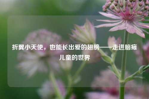折翼小天使，也能长出爱的翅膀——走进脑瘫儿童的世界