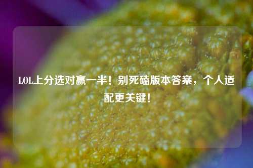 LOL上分选对赢一半！别死磕版本答案，个人适配更关键！