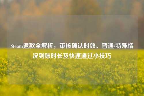 Steam退款全解析,审核确认时效、普通/特殊情况到账时长及快速通过小技巧