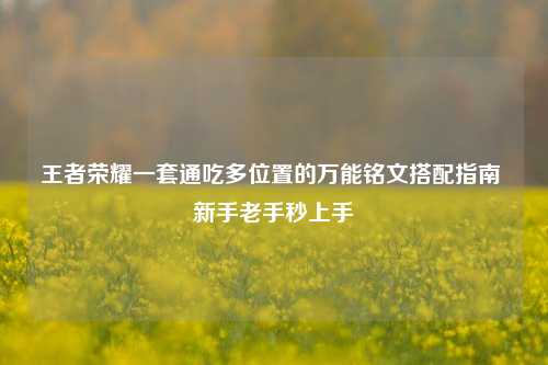 王者荣耀一套通吃多位置的万能铭文搭配指南 新手老手秒上手
