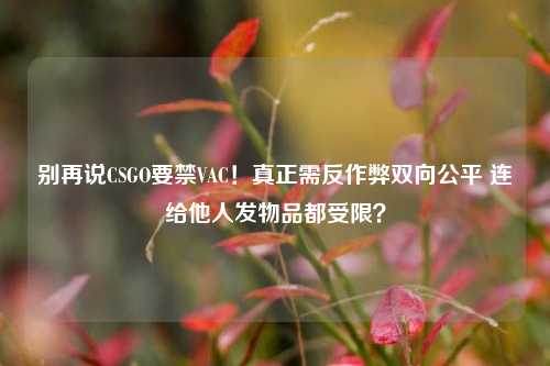 别再说CSGO要禁VAC!真正需反作弊双向公平 连给他人发物品都受限?