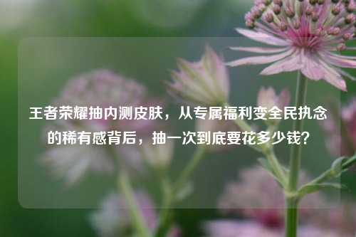 王者荣耀抽内测皮肤，从专属福利变全民执念的稀有感背后，抽一次到底要花多少钱？