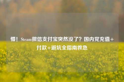 懵！Steam微信支付宝突然没了？国内党充值+付款+避坑全指南救急