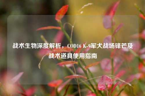 战术生物深度解析,COD16 K-9军犬战场锋芒及战术道具使用指南