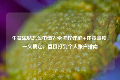 生育津贴怎么申请?全流程详解+注意事项,一文搞定,直接打到个人账户指南