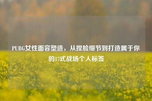 PUBG女性面容塑造,从捏脸细节到打造属于你的17式战场个人标签