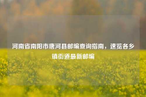河南省南阳市唐河县邮编查询指南,速览各乡镇街道最新邮编