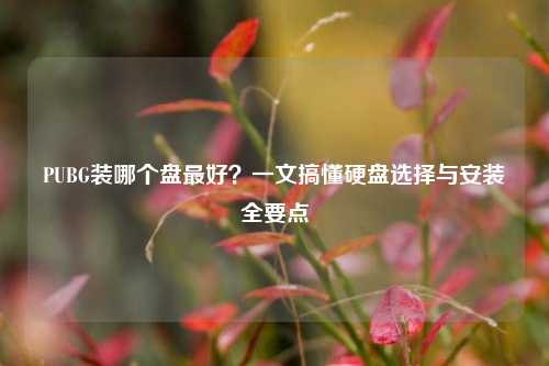 PUBG装哪个盘最好？一文搞懂硬盘选择与安装全要点