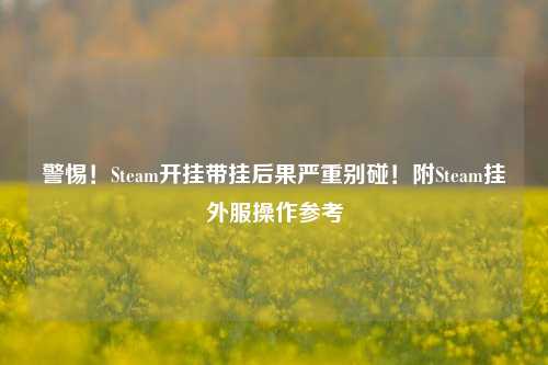 警惕!Steam开挂带挂后果严重别碰!附Steam挂外服操作参考