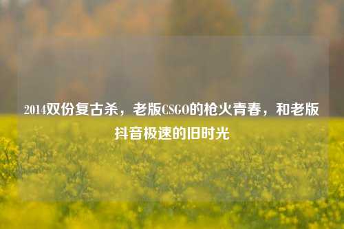 2014双份复古杀,老版CSGO的枪火青春,和老版抖音极速的旧时光
