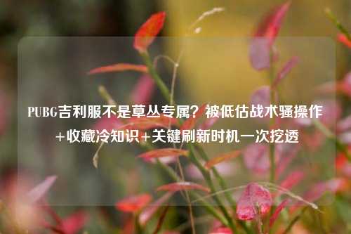PUBG吉利服不是草丛专属?被低估战术骚操作+收藏冷知识+关键刷新时机一次挖透