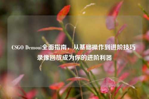 CSGO Demoui全面指南,从基础操作到进阶技巧 录像回放成为你的进阶利器