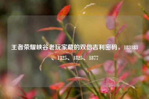 王者荣耀峡谷老玩家藏的双倍吉利密码,183183、1325、1825、1877
