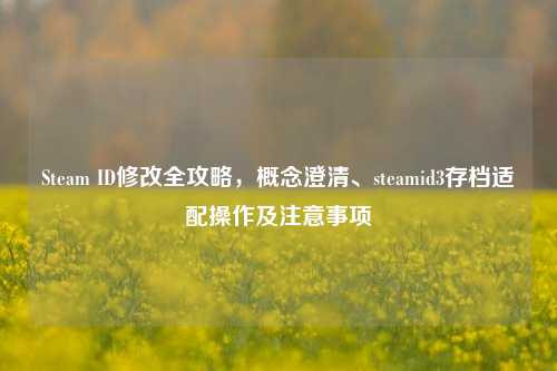 Steam ID修改全攻略,概念澄清、steamid3存档适配操作及注意事项