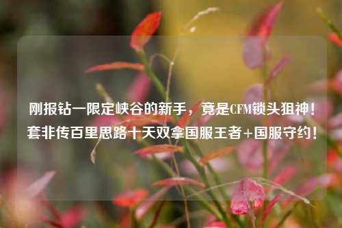 刚报钻一限定峡谷的新手,竟是CFM锁头狙神!套非传百里思路十天双拿国服王者+国服守约!