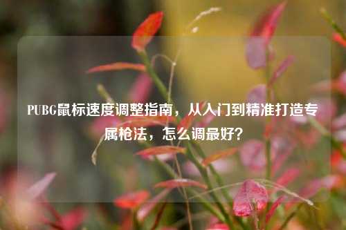 PUBG鼠标速度调整指南，从入门到精准打造专属枪法，怎么调最好？