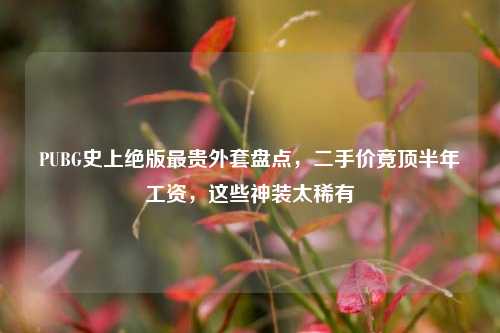 PUBG史上绝版最贵外套盘点，二手价竟顶半年工资，这些神装太稀有