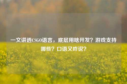 一文讲透CSGO语言，底层用啥开发？游戏支持哪些？口语又咋说？