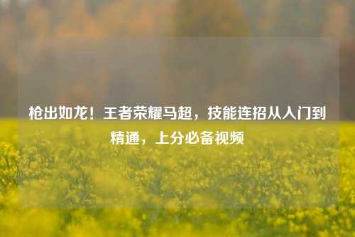 枪出如龙!王者荣耀马超,技能连招从入门到精通,上分必备视频