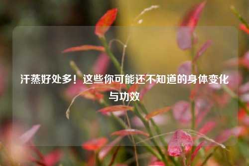 汗蒸好处多!这些你可能还不知道的身体变化与功效