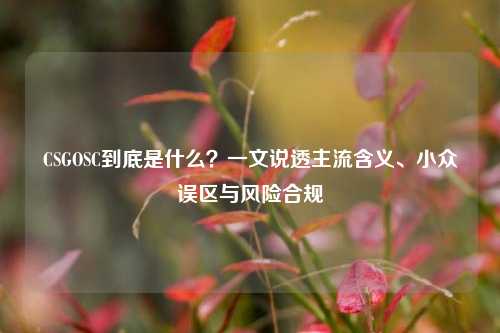 CSGOSC到底是什么?一文说透主流含义、小众误区与风险合规