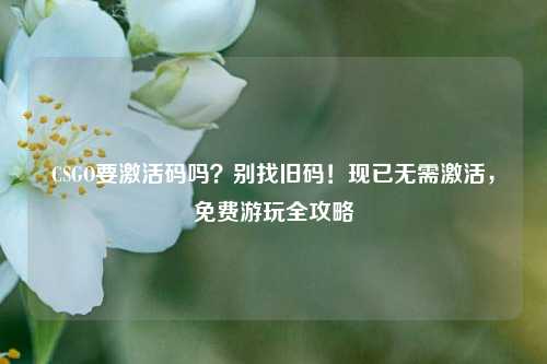 CSGO要激活码吗？别找旧码！现已无需激活，免费游玩全攻略