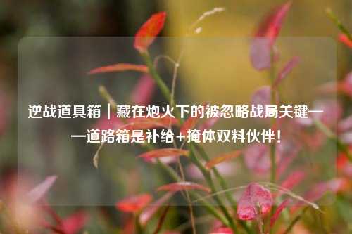 逆战道具箱|藏在炮火下的被忽略战局关键——道路箱是补给+掩体双料伙伴!