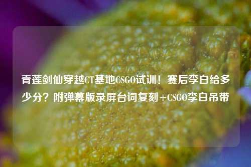青莲剑仙穿越CT基地CSGO试训！赛后李白给多少分？附弹幕版录屏台词复刻+CSGO李白吊带