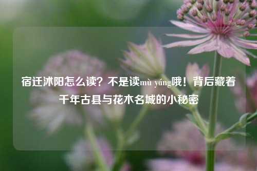 宿迁沭阳怎么读?不是读mù yáng哦!背后藏着千年古县与花木名城的小秘密