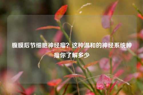 腹膜后节细胞神经瘤?这种温和的神经系统肿瘤你了解多少