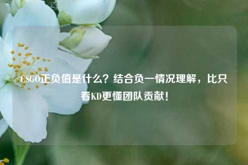 CSGO正负值是什么?结合负一情况理解,比只看KD更懂团队贡献!