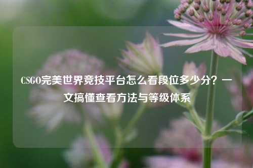 CSGO完美世界竞技平台怎么看段位多少分?一文搞懂查看方法与等级体系