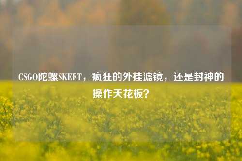 CSGO陀螺SKEET,疯狂的外挂滤镜,还是封神的操作天花板?