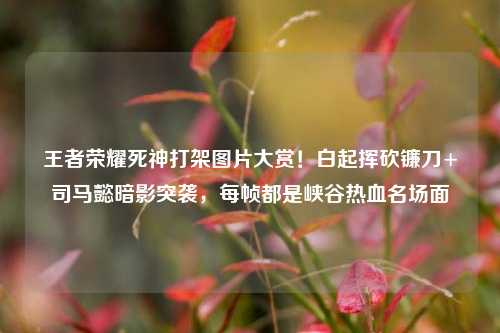 王者荣耀死神打架图片大赏!白起挥砍镰刀+司马懿暗影突袭,每帧都是峡谷热血名场面