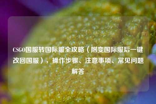 CSGO国服转国际服全攻略（附变国际服后一键改回国服），操作步骤、注意事项、常见问题解答