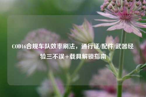 COD16合规车队效率刷法,通行证/配件/武器经验三不误+载具解锁指南