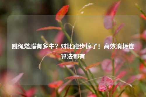 跳绳燃脂有多牛?对比跑步惊了!高效消耗连算法都有
