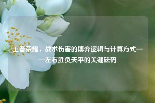 王者荣耀，战术伤害的博弈逻辑与计算方式——左右胜负天平的关键砝码