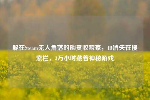 躲在Steam无人角落的幽灵收藏家，ID消失在搜索栏，3万小时藏着神秘游戏