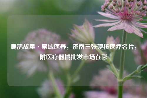 扁鹊故里·泉城医养,济南三张硬核医疗名片,附医疗器械批发市场在哪