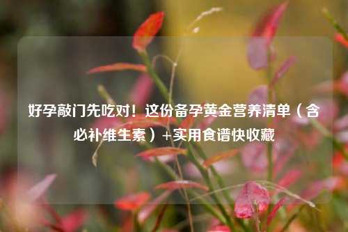 好孕敲门先吃对!这份备孕黄金营养清单(含必补维生素)+实用食谱快收藏