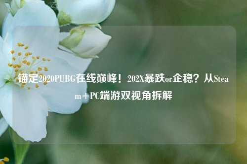 锚定2020PUBG在线巅峰！202X暴跌or企稳？从Steam+PC端游双视角拆解