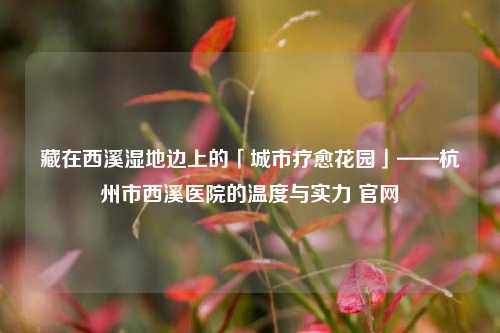 藏在西溪湿地边上的「城市疗愈花园」——杭州市西溪医院的温度与实力 官网