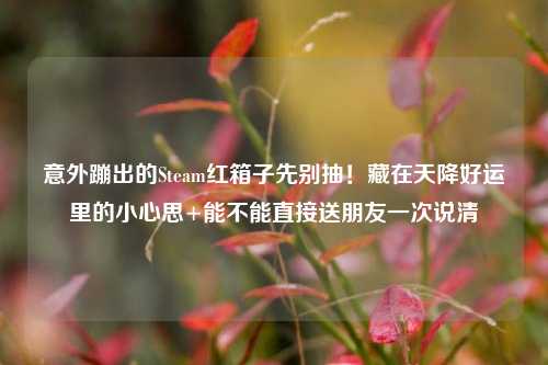 意外蹦出的Steam红箱子先别抽!藏在天降好运里的小心思+能不能直接送朋友一次说清